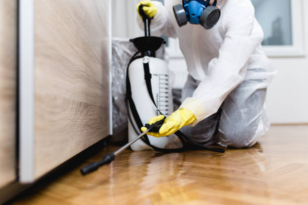 Best Wasp Removal Services  in Vadnais Heights, MN