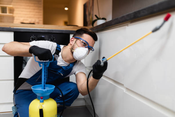 Best Local Pest Control Services  in Vadnais Heights, MN