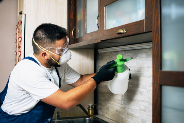 Reliable Vadnais Heights, MN Pest Control Solutions