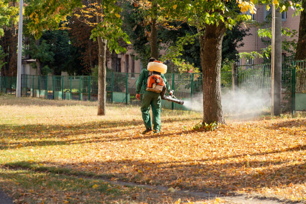 Best Bird Control  in Vadnais Heights, MN