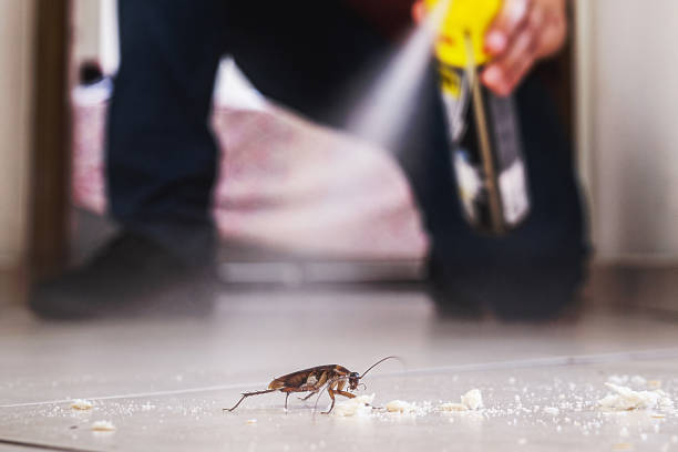 Best Best Pest Control Companies  in Vadnais Heights, MN